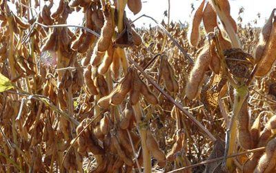 Suman 2.500 productores más al Programa de Compensación del Estado