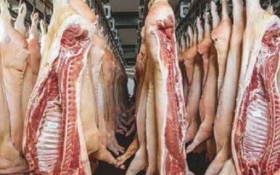 El consumo de carne de cerdo se acerca a los 21 kilos por habitante/año