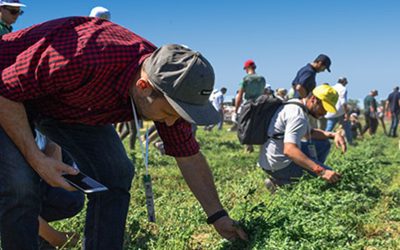 La ExpoAlfalfa 2023, enfocada en la producción y comercialización