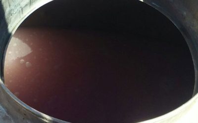 Que no se corte: Las bases para lograr buenas mezclas de fitosanitarios.