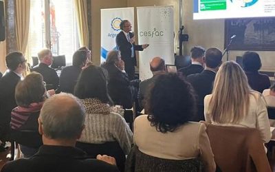 Soja “libre de deforestación”: cómo es el plan de los agroexportadores para cumplir la nueva ley europea