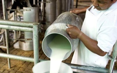 En el Día Nacional del Tambero, el productor no tiene nada para festejar