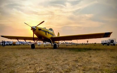 En la zona núcleo la aplicación aérea bajó más de un 70%