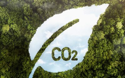 Conservación de espacios naturales y menor Huella de carbono en el Gran Chaco