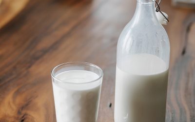 Los mercados mundiales de productos lácteos permanecerán moderados debido a una mayor producción