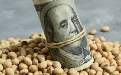 El dólar soja III, sólo para las reservas. El dólar Economías Regionales, no es una solución