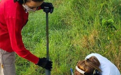Un tesoro a 30 centímetros de profundidad: los suelos argentinos guardan el 2% del carbono mundial
