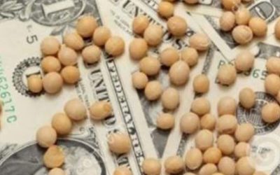 Dólar Soja 3: El objetivo del Gobierno, a mitad de camino