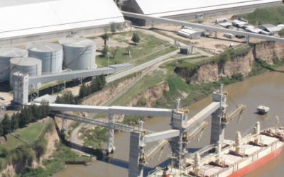 Daños colaterales de la sequía: la importación récord de soja reducirá el aporte neto de divisas del agro