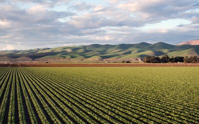El aporte del campo a los desafíos del país.