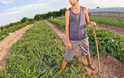 El Gobierno reglamentó la ley de agricultura familiar que se sancionó en 2014