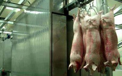 El duro mensaje del mayor productor de carne de cerdo de Argentina: «No sabemos quién gobierna este país»