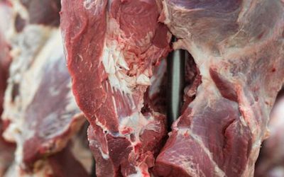 Argentina cumple 100% con la Cuota Hilton y supera las ventas de los últimos 5 años