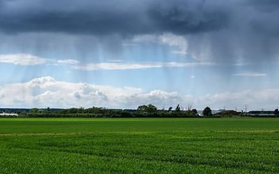 Existe una probabilidad del 89% para que se desarrolle un evento Niño