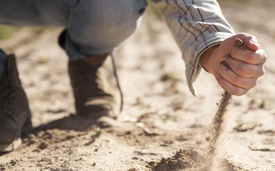 Compactación de suelos: el enemigo silencioso que se lleva hasta un 15% de los rindes.¿Podemos actuar sin labrar?