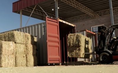 El sector alfalfero, uno de los complejos de mayor crecimiento exportador en 2023