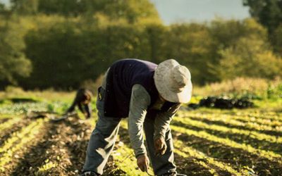 Cómo es el plan que lanzó un organismo de la ONU para enfrentar el impacto de El Niño