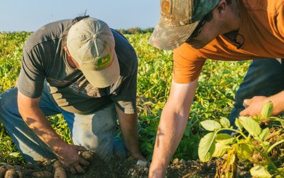 Cambio de ciclo: por primera vez desde 2019, hay más empresas del agro optimistas que pesimistas