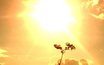 “El comienzo de agosto más cálido en 117 años”: los datos de la ola de calor en pleno invierno