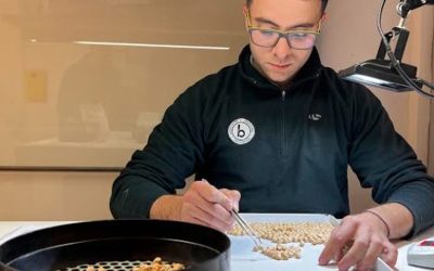 Trazabilidad y blockchain aplicado a la producción de garbanzos