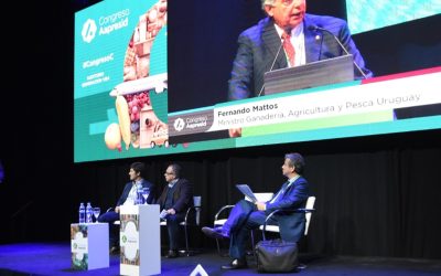 Oportunidades y estrategias para la carne sudamericana