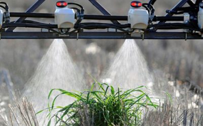 Hay preocupación en los distribuidores de agroinsumos por el alza de precios