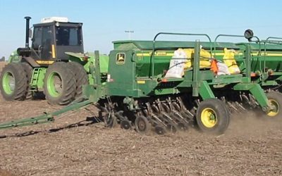 Trigo: terminó la siembra, con la superficie más baja en seis años