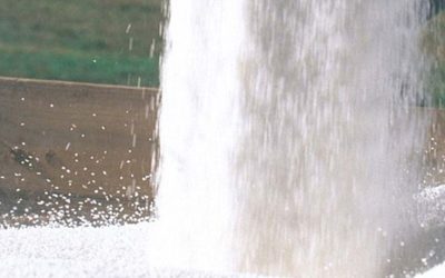 Bahillo confirmó que se podrán tramitar hasta 5 toneladas de urea por productor