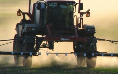 Los detalles de un estudio internacional que evaluó la cantidad de agroquímicos presentes en la salud humana