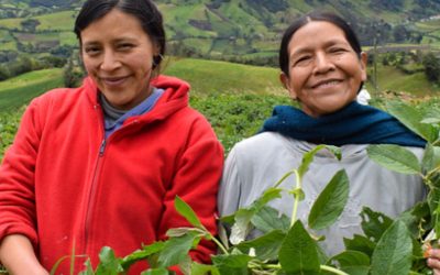 Plan para avanzar los derechos de las mujeres rurales