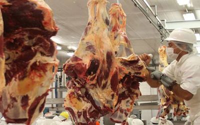 Las exportaciones de carne están en niveles máximos desde 2009