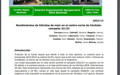Rendimientos de híbridos de maíz en el centro norte de Córdoba-campaña 22/23