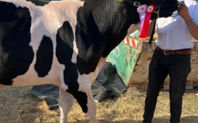 Un productor ganadero de Córdoba compró a “Messi”