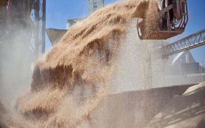 Hasta el 10 de diciembre, el tipo de cambio para los exportadores será un 31% mayor