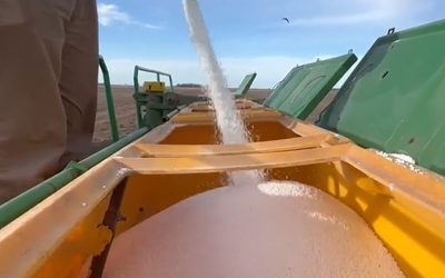 Advierten que no habrá suficiente fertilizante para encarar la próxima cosecha gruesa