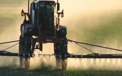 Uso de glifosato en la UE: Renovarán su autorización por 10 años