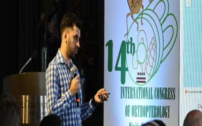 Argentina será sede del próximo Congreso Internacional sobre langostas y tucuras a realizarse en 2026