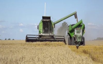 Prorrogan las exportaciones de trigo por 60 días y buscan evitar el desabastecimiento del mercado interno