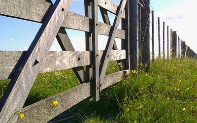 Más problemas para el DNU de Javier Milei: un juez frenó la derogación de la Ley de Tierras