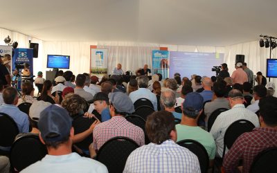 Capacitación, inversión y futuro en el sector ganadero