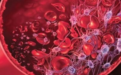 El IPCVA recomienda prácticas responsables para