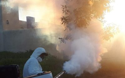 Dengue: acciones efectivas y seguras de la mano de los profesionales