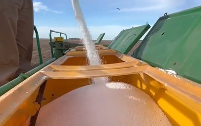 El Gobierno eliminará aranceles a fertilizantes