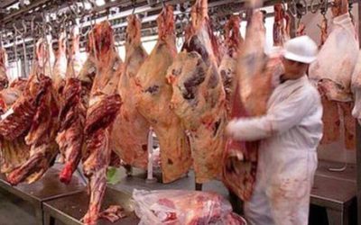 Fuerte caída de la faena bovina en marzo