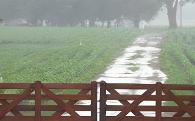 Lluvias del fin de semana: lo bueno, lo malo y algo más sobre su impacto en la región núcleo