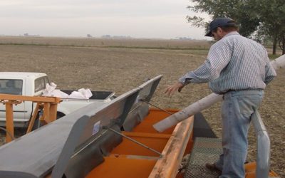 La fina arranca con todo: la suba del trigo y la baja de los insumos reactivaron el mercado de fertilizantes