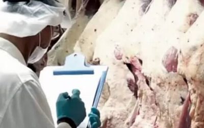 Las exportaciones de carne crecieron más del 20% en lo que va del año