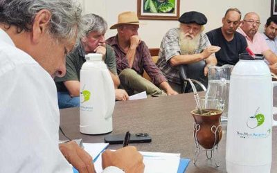 Yerba mate: se multiplican los reclamos de productores ante el Gobierno nacional