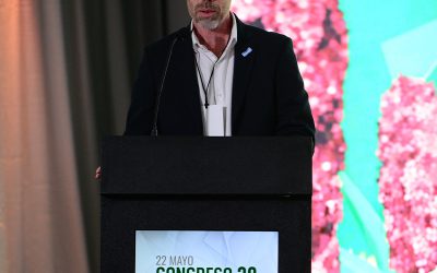 ¿Qué se hace con el maíz que no se exporta? Tres casos de agregado de valor y economía circular en el Interior