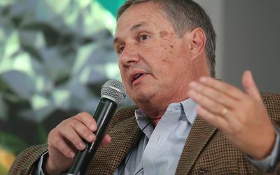 Con genética y manejo, la Argentina puede triplicar los rindes de sorgo y superar los 10.000 kilos por hectárea